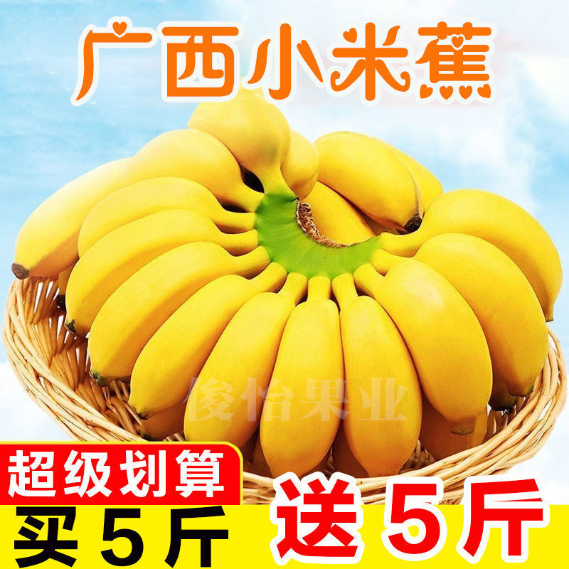广西蕉粉蕉banana新鲜水果1斤非广东蕉海南香蕉10斤5-阿里巴巴