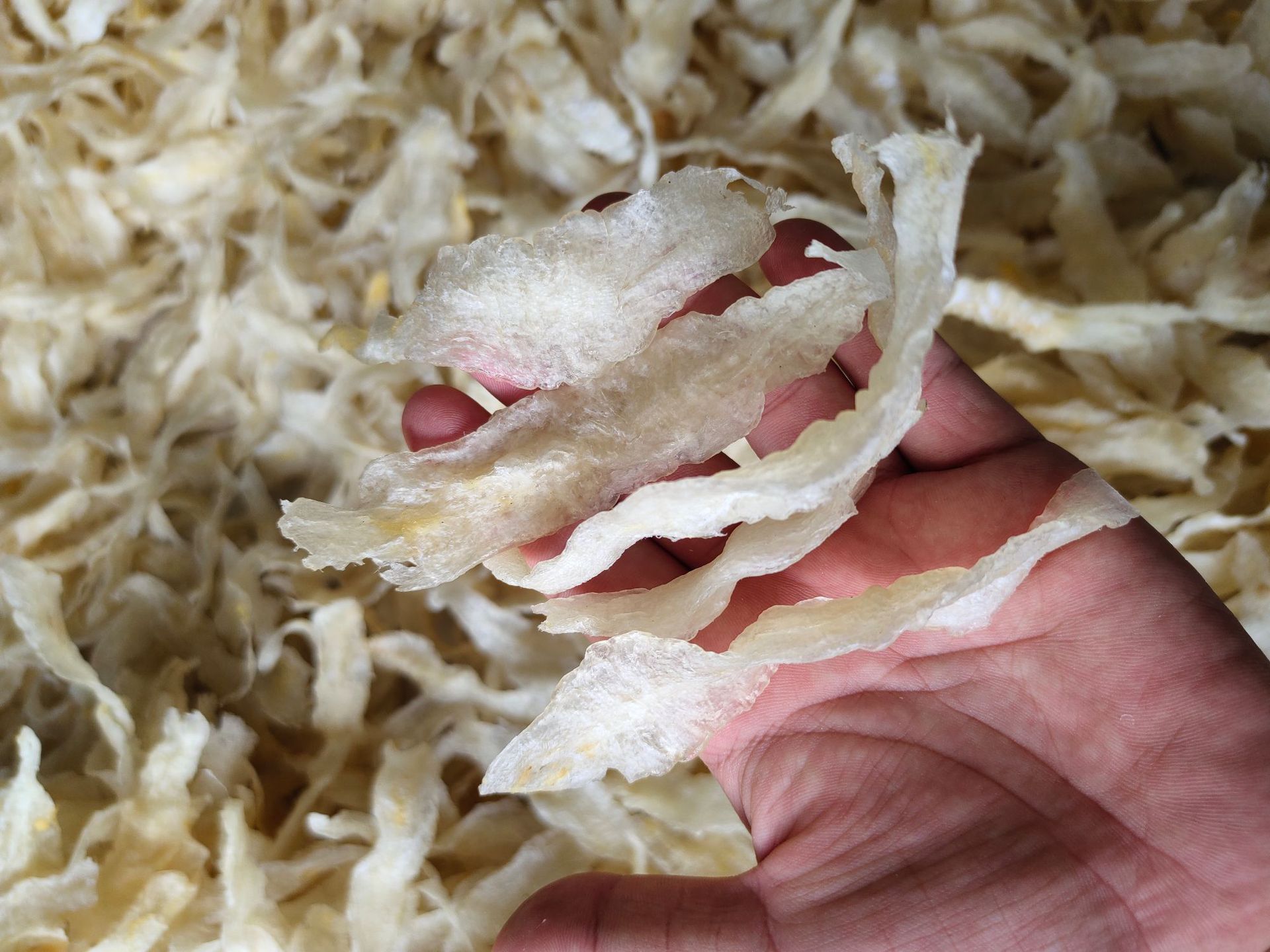 水发淡水金龙鱼胶花胶 500g 阿里巴巴批发北海花胶鱼肚 酒店食材