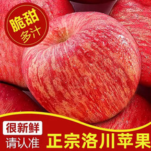 陕西延安洛川苹果红富士脆甜当季新鲜冰糖心10一整箱水果批发