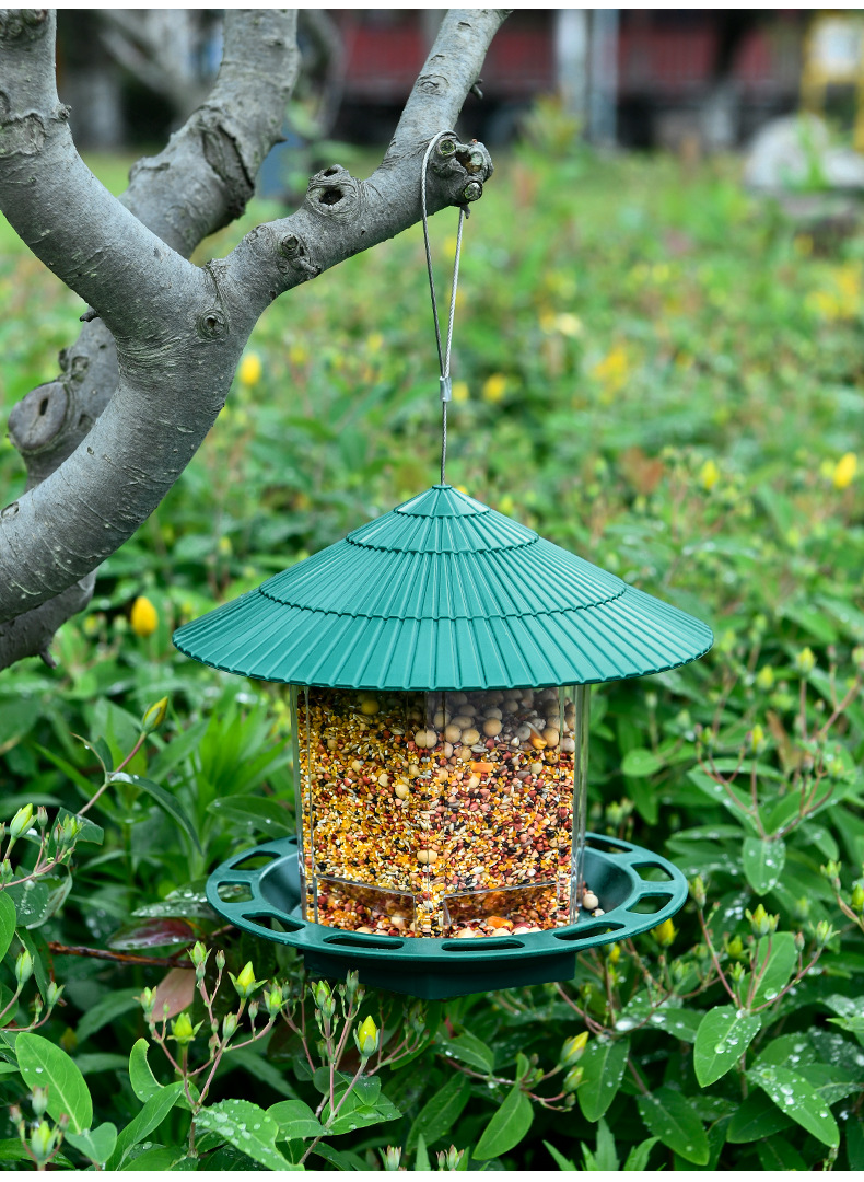 跨境鸟喂食器 户外悬挂式防风防漏喂鸟器 布施喂鸟器 宠物喂食器