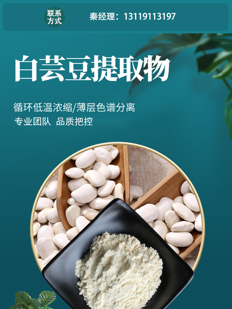 白芸豆提取物301白芸豆粉淀粉酶抑制剂菜豆素2白芸豆提取物