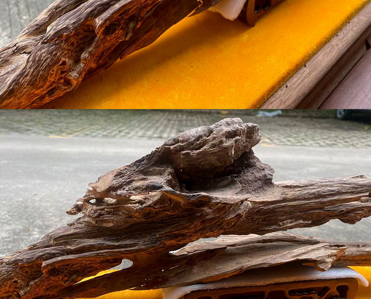 正区达拉干原木沉香摆件 高油天然老料随型居家原料摆设工艺品