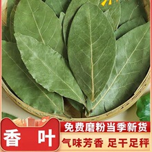 香叶广西头茬新货桂皮八角调味品卤料炖肉料炒菜调料批发一件批发