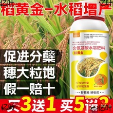 稻黄金水稻增产剂铁杆抗倒伏分蘖返青灌浆肥氨基酸微量元素叶面肥