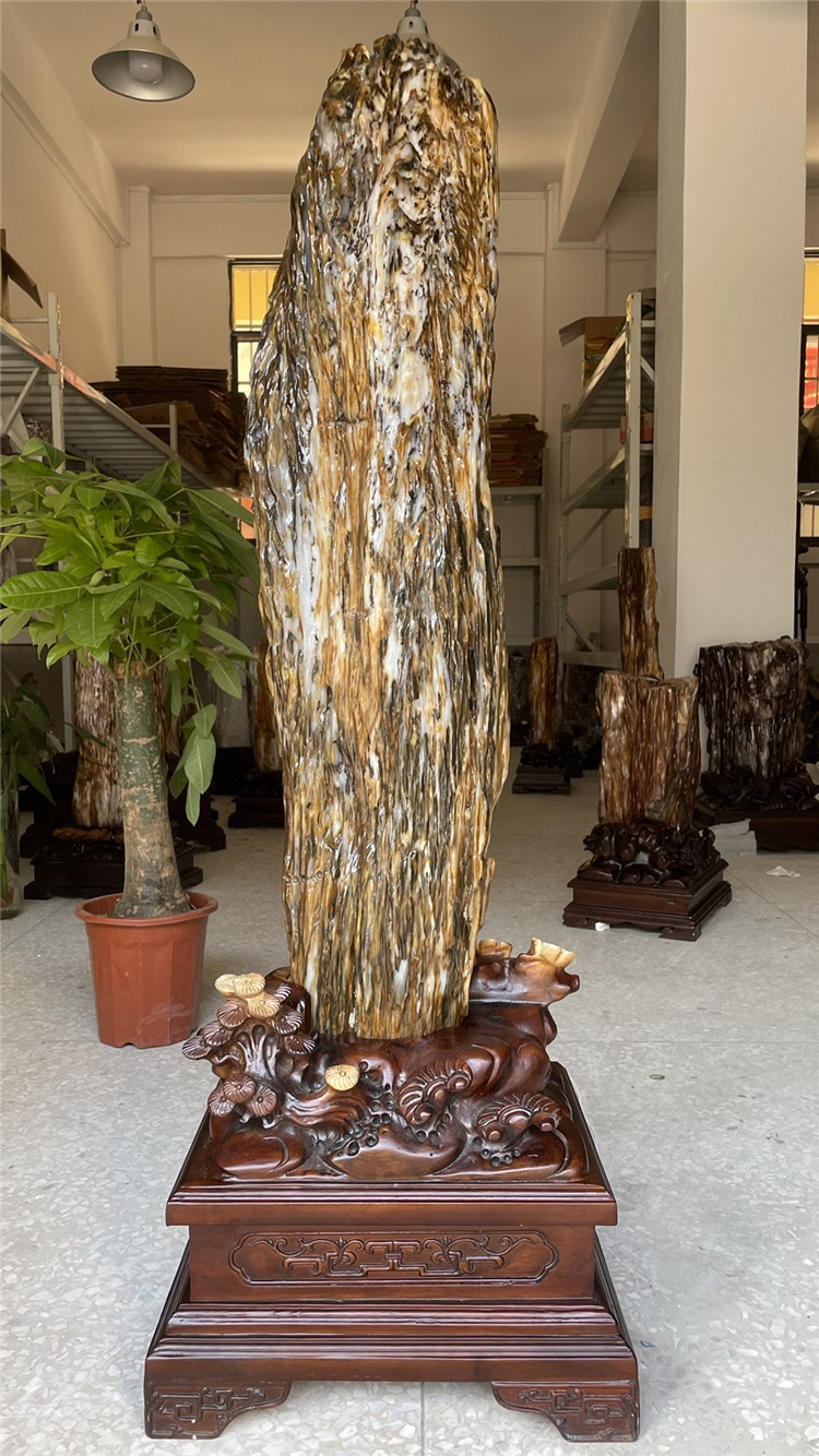 缅甸树化玉天然树化石原石木化玉奇石木化石硅化木家居装饰摆件