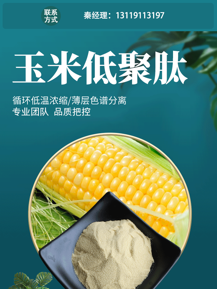 玉米低聚肽 现货供应99%玉米蛋白肽玉米淀粉玉米小分子肽玉米肽