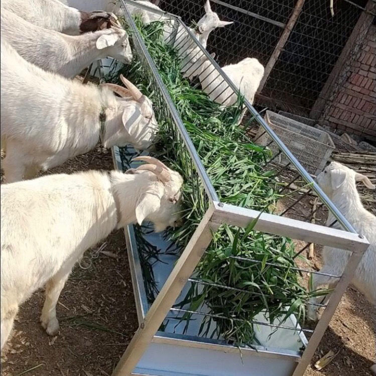 食料槽羊槽子羊料槽家用羊槽子全国物流养殖户用