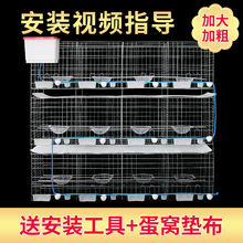 鸽子笼鸽子笼子家用养殖鸽子龙大号套鸽舍鸽棚大型网配对一件代发