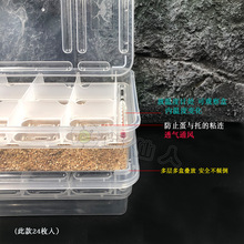 CM蛭石温度计孵化盒守宫蛇陆龟水龟蜥蜴爬宠孵化蛋托盒爬虫孵化器
