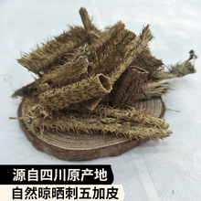 刺五加皮抽芯9成  中药材1kg散装批发产地直供当季新货刺五加皮