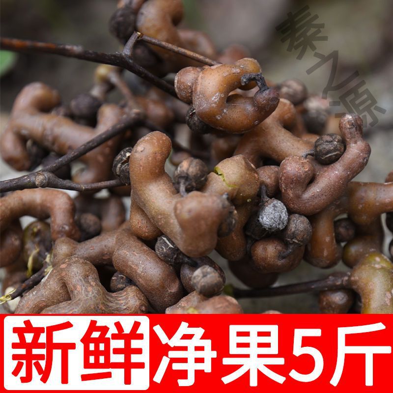 秦岭野生拐枣万寿果鸡爪梨金钩子泡酒泡水水果生吃1/3/5斤包邮