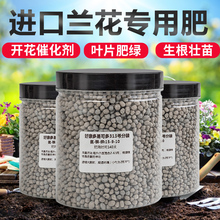 好康多兰花专用缓释肥兰花专用肥肥长效颗粒盆栽绿植花卉日本进口