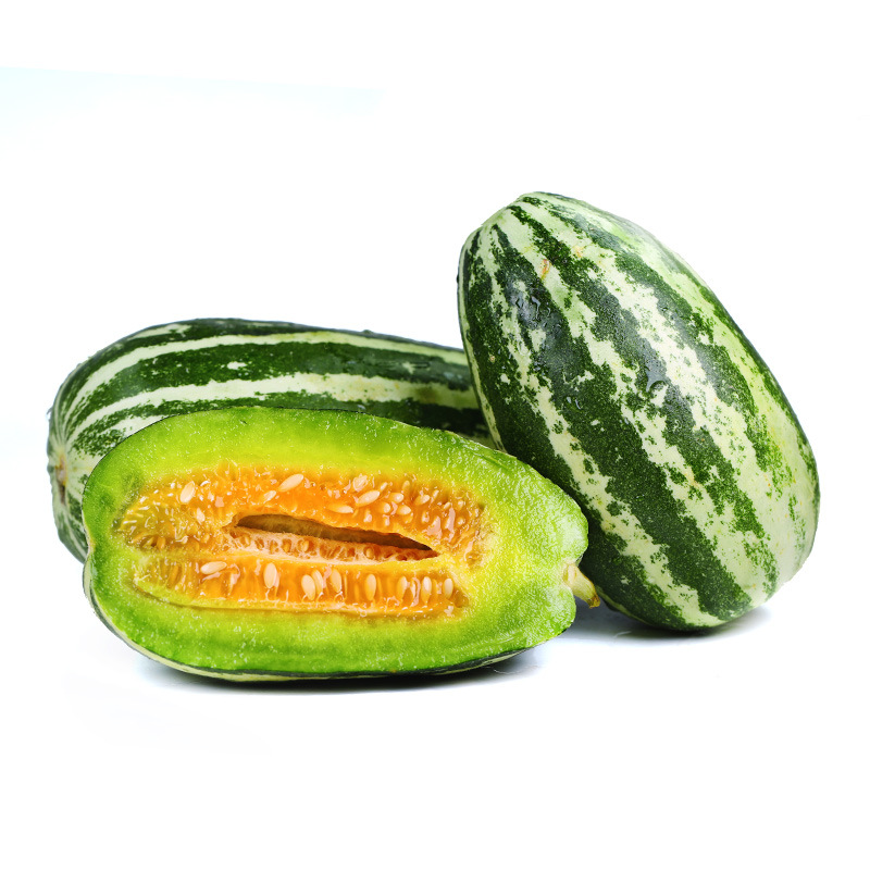 【厂货通】山东博洋9号 羊角蜜甜瓜博洋九脆皮甜瓜号当季新鲜瓜果