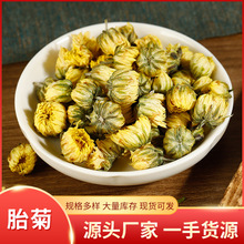 桐乡胎菊批发2024年春季胎菊王菊散装袋装菊花茶量大从优新货胎菊