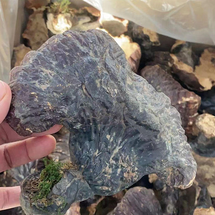 灵芝长白山灵芝灵芝孢子粉野灵芝赤灵芝粉千年灵芝-报价-阿里巴巴