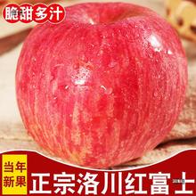 苹果水果洛川红富士苹果高山脆甜多汁当季新果坏果包赔产地直发洛