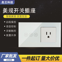 Apple Homekit zigbee wifi智能语音开关插座多功能一体化面板