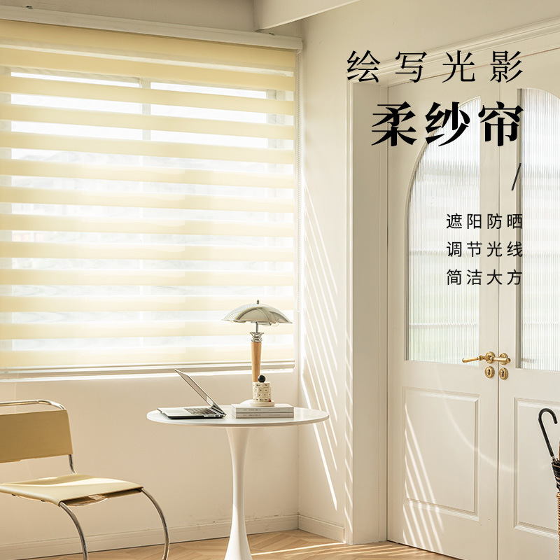 Xiao Jun Curtain Shading Curtain Soft Gauze Curtain Double Roller Blind Day & Night Curtain Tracery Louver Curtain Foreign Trade Curtain Window Screen