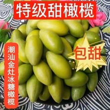 潮汕金灶特产青橄榄果现摘新鲜二号甜种橄榄柑榄生吃青果无渣脆甜