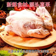 扒鸡整只德州特产扒鸡五香手撕烧鸡肉类熟食下菜批发