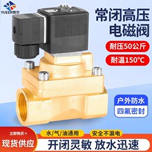 AC220V4分6分高温高压户外防水电子阀常闭放水阀50公斤黄铜电磁阀