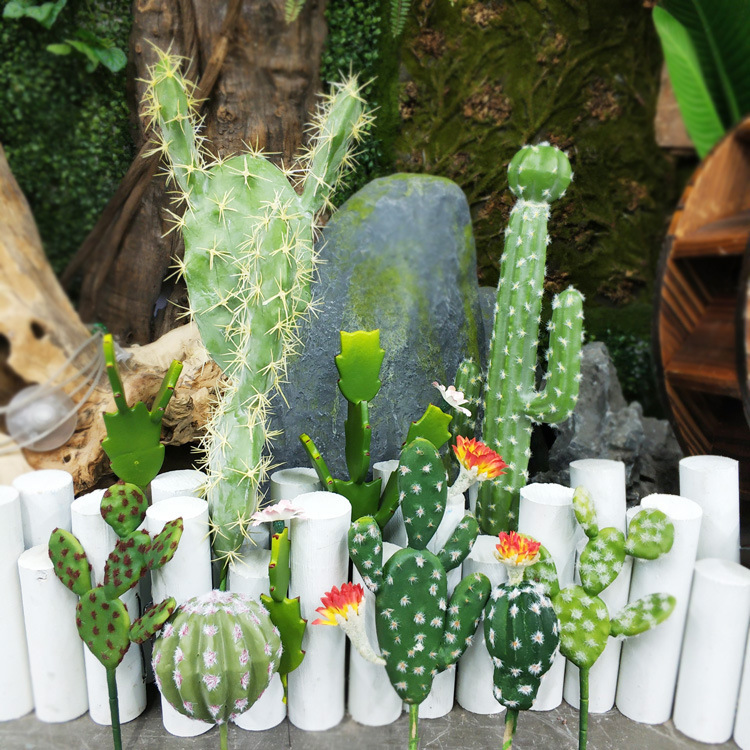 花卉迷你仙人掌仙人柱微型热带沙漠植物桌面装饰花卉仙人掌-阿里巴巴