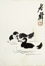 《鸭子戏水》 齐白石  名人字画  国画 27cm*40cm 包邮