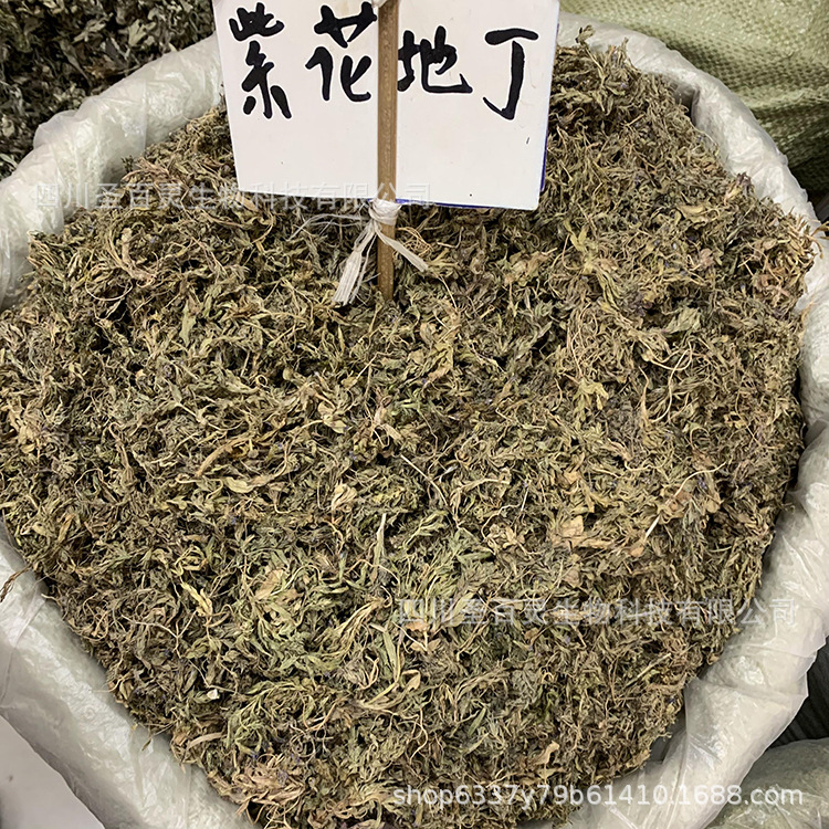 紫花地丁草干兰花广地丁锄头草中药材批发散装500g干净无杂质