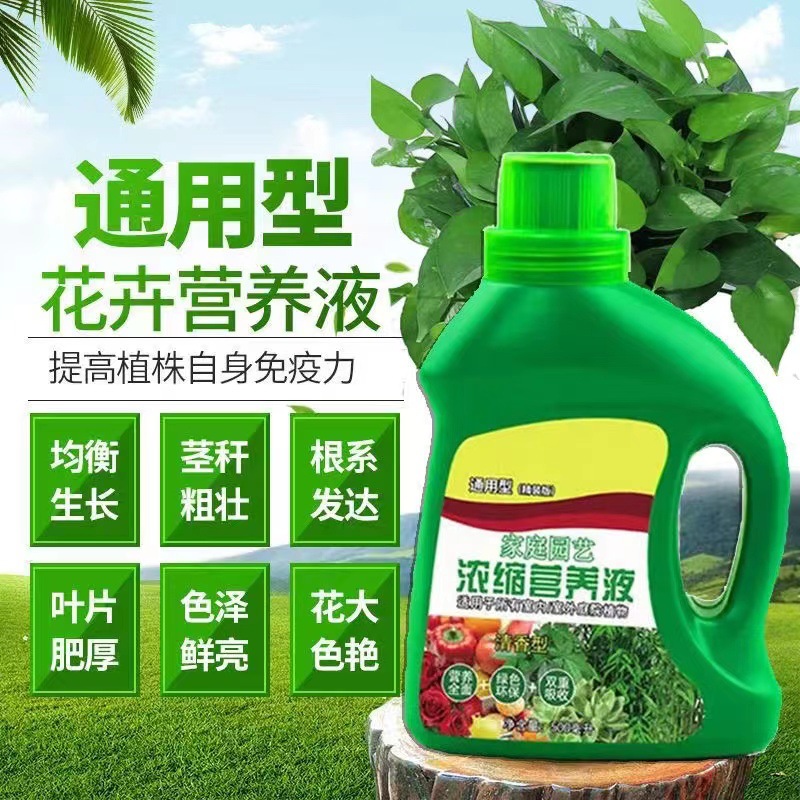 植物花卉通用型绿植风信子郁金香营养液盆栽家用水培花草养花肥料