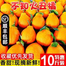 不知火丑橘10斤当季新鲜水果整箱包邮丑八怪橘子粑粑蜜桔子柑橘