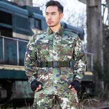 儿童迷彩服套装男童特种兵短袖军训服男孩解放军纯棉女童当兵衣服