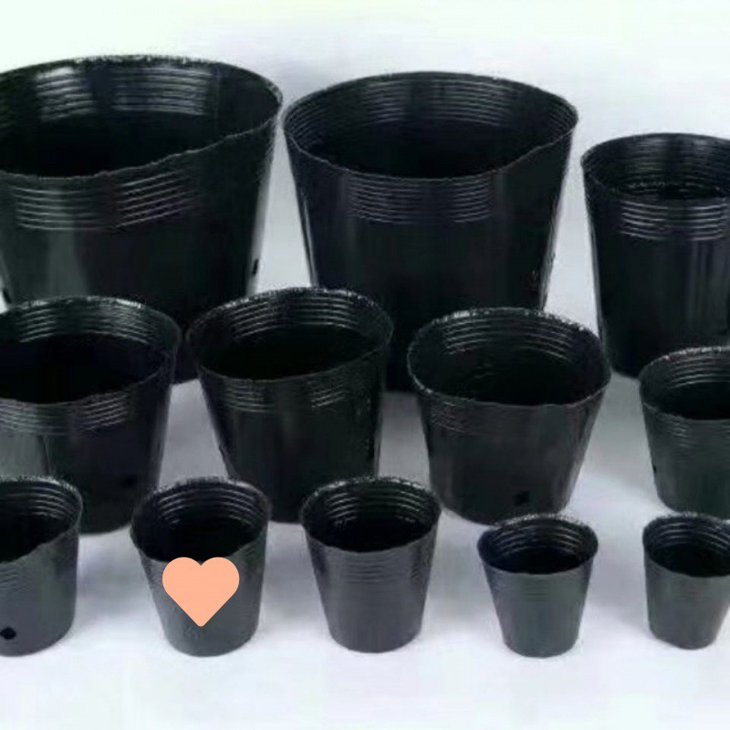 一次性花盆育苗杯营养杯黑色营养袋育苗袋大号塑料育苗盆营养钵