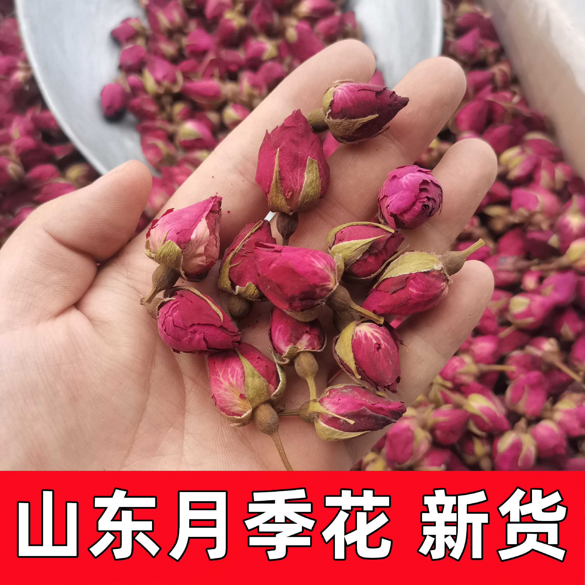 月季玫瑰花茶