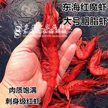 4斤3重深海红魔虾胭脂虾新鲜绯红虾火焰虾日料刺身级红虾海鲜