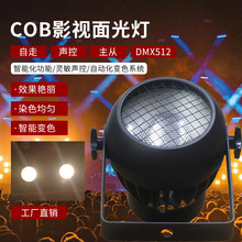 新款舞台60瓦迷你LED帕灯单头COB暖白面光灯DMX512青蛙眼投光灯