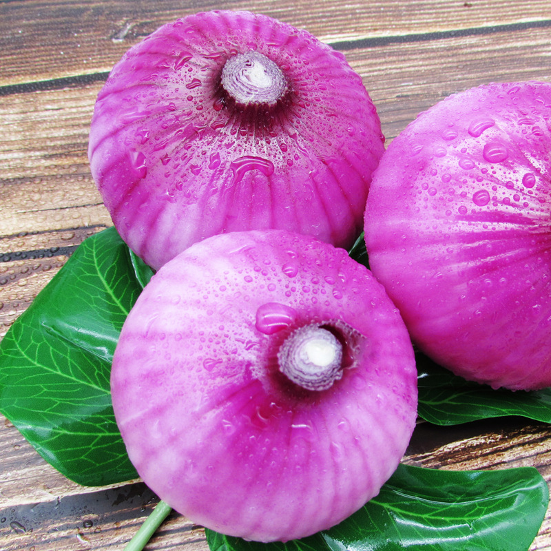 9斤热卖月份全年包装系列简装系列包装方式食用农产品品种红皮洋葱