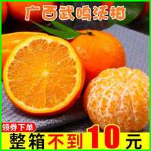 南丰春天蜜广桔蜜广橘子沃柑江西特产净重19.56斤精品新鲜水果