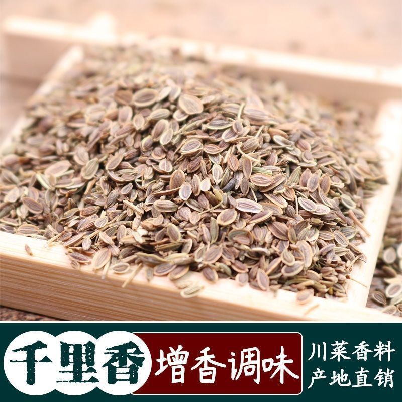 一件代发千里香调料万里香莳萝籽卤料卤肉火锅调味香辛料香料大全