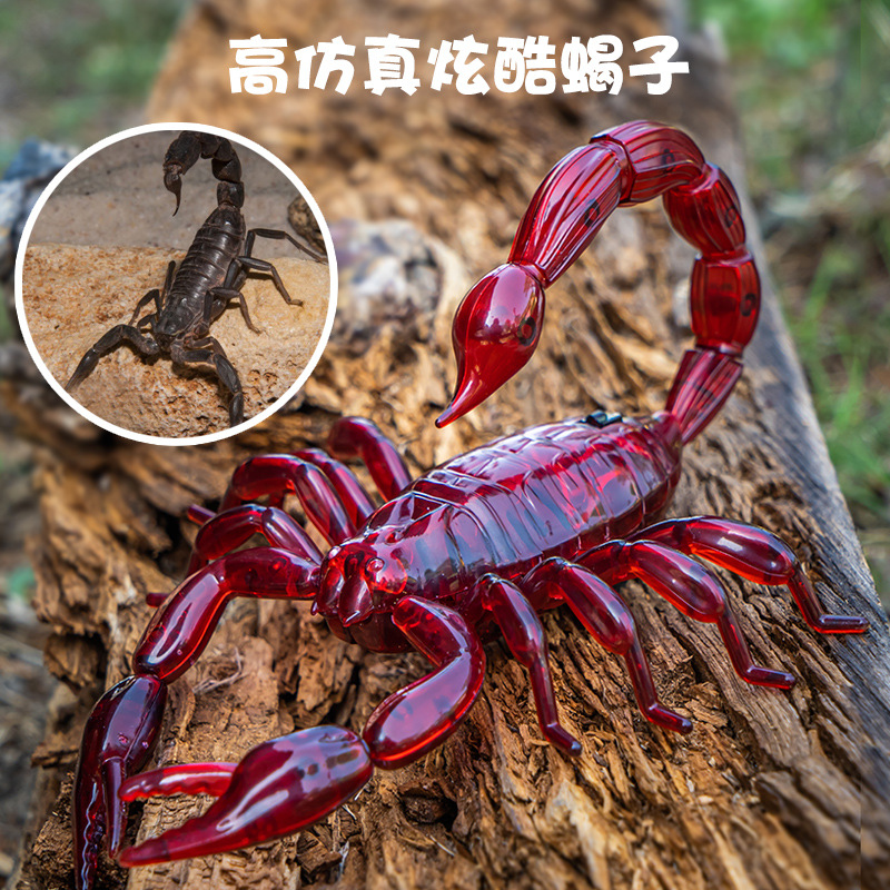 电动遥控蝎子玩具同款男孩5网红爬行小动物儿童4-6岁女孩-阿里巴巴