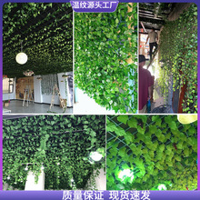 葡萄叶藤条吊顶绿树叶子水管道装饰缠绕遮挡塑料假花藤蔓植物。