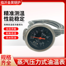 蒸汽压力式温度表油温表柴油机专用仪表WTNZ-603温度计 精准测量