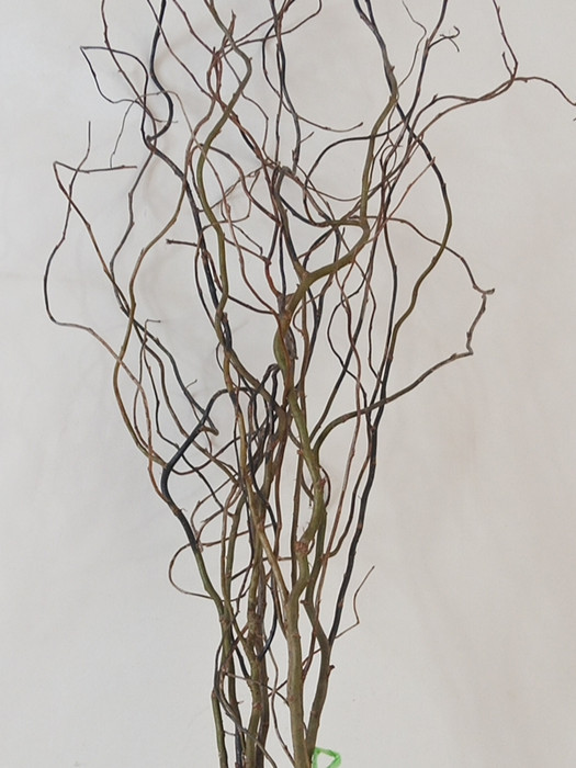 龙柳花家庭客厅场所摆设艺术造型装饰摄影背景干树枝云南直发