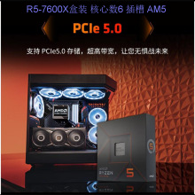amd x6 1090t 1055t 1035t 1065t 1045t 1075t 1100t 羿龙am3cpu