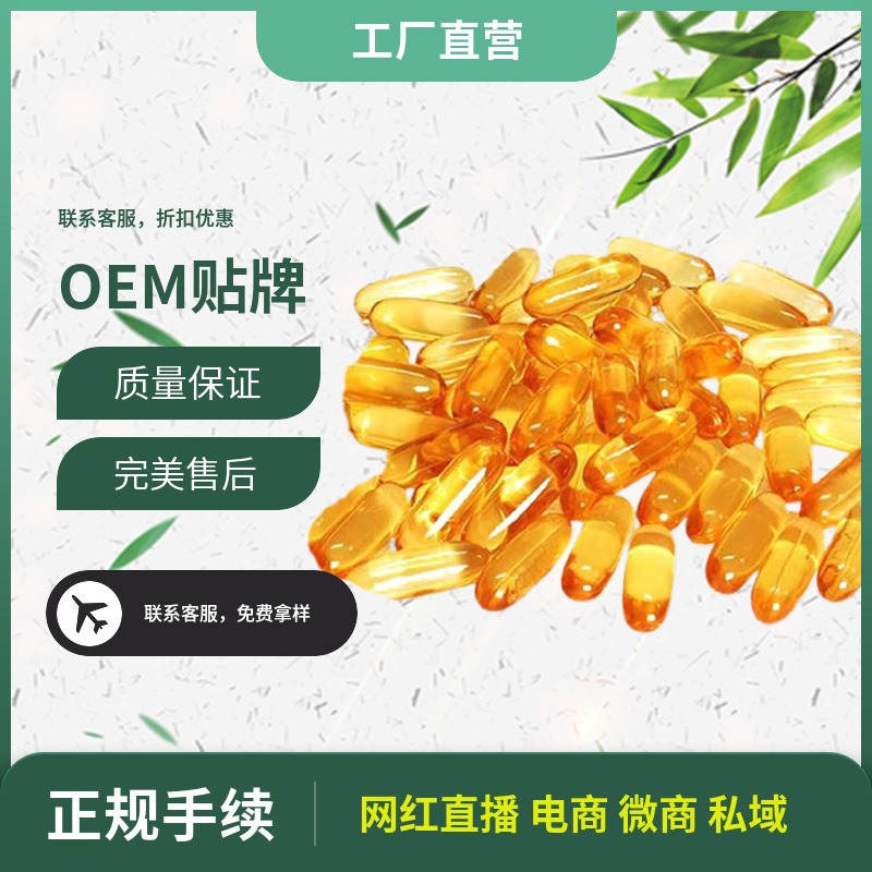 宠物鱼油软胶囊代加工橡胶树种子油凝胶糖果山茶油竹叶黄酮加工厂