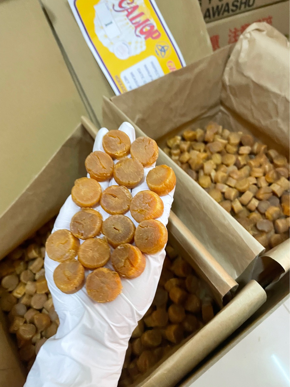 【实拍图】批发日本宗谷大元贝80头110头支持一件代发-阿里巴巴