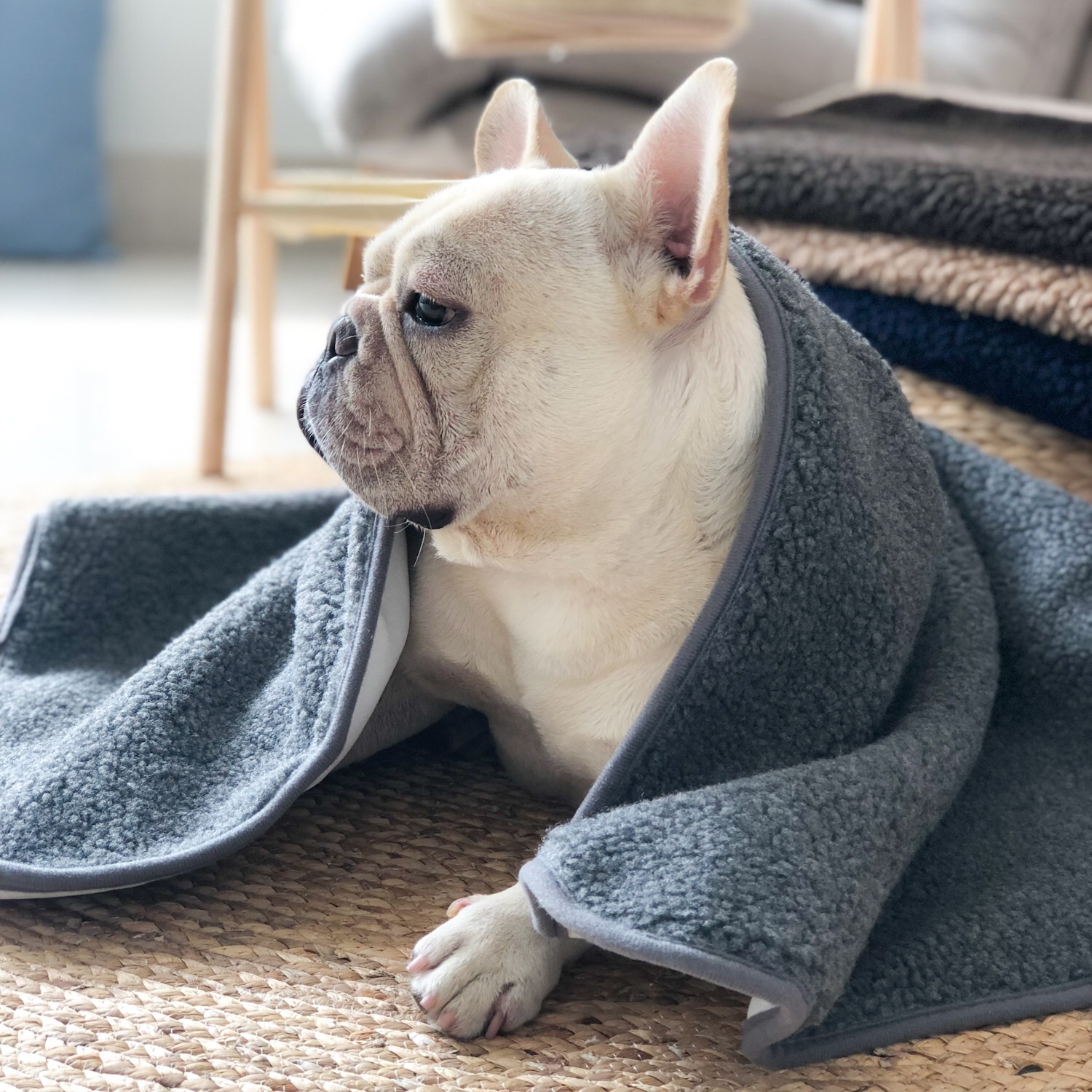 宠物狗毯子毛毯两用睡觉羊羔绒地垫防着凉狗窝毛绒睡垫空调毯四季