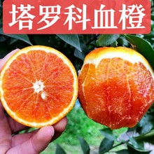 四川塔罗科血橙新鲜水果9斤应当季红心肉橙子手剥果冻甜橙10
