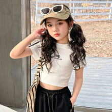 女童短袖T恤韩版2024春夏季新款儿童洋气修身打底衫百搭半袖上衣