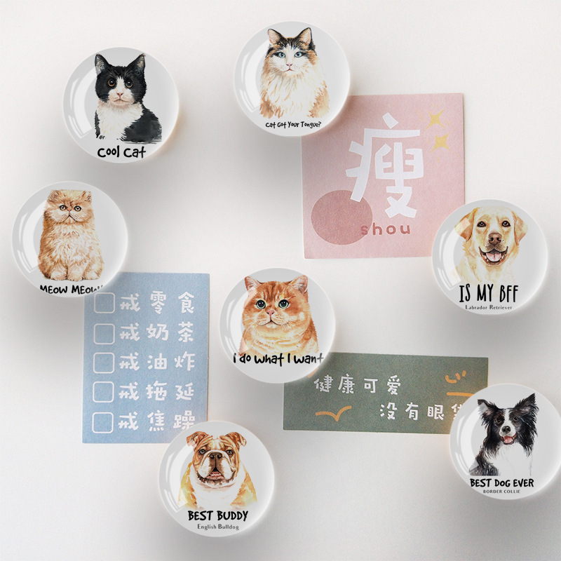 Factory Direct Sales Cat Crystal Refrigerator Sticker and Magnet Sticker Refrigerator Decoration Magnet Internet Celebrity Nordic Magnetic Stickers