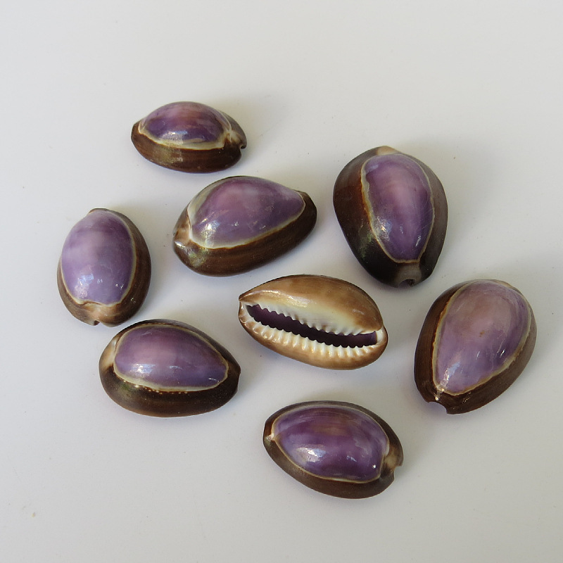 打孔小贝雪山紫宝螺 工艺挂件装饰品小螺贝 工艺品雪山紫宝螺原料